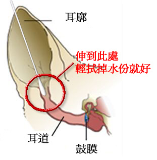 狗狗.